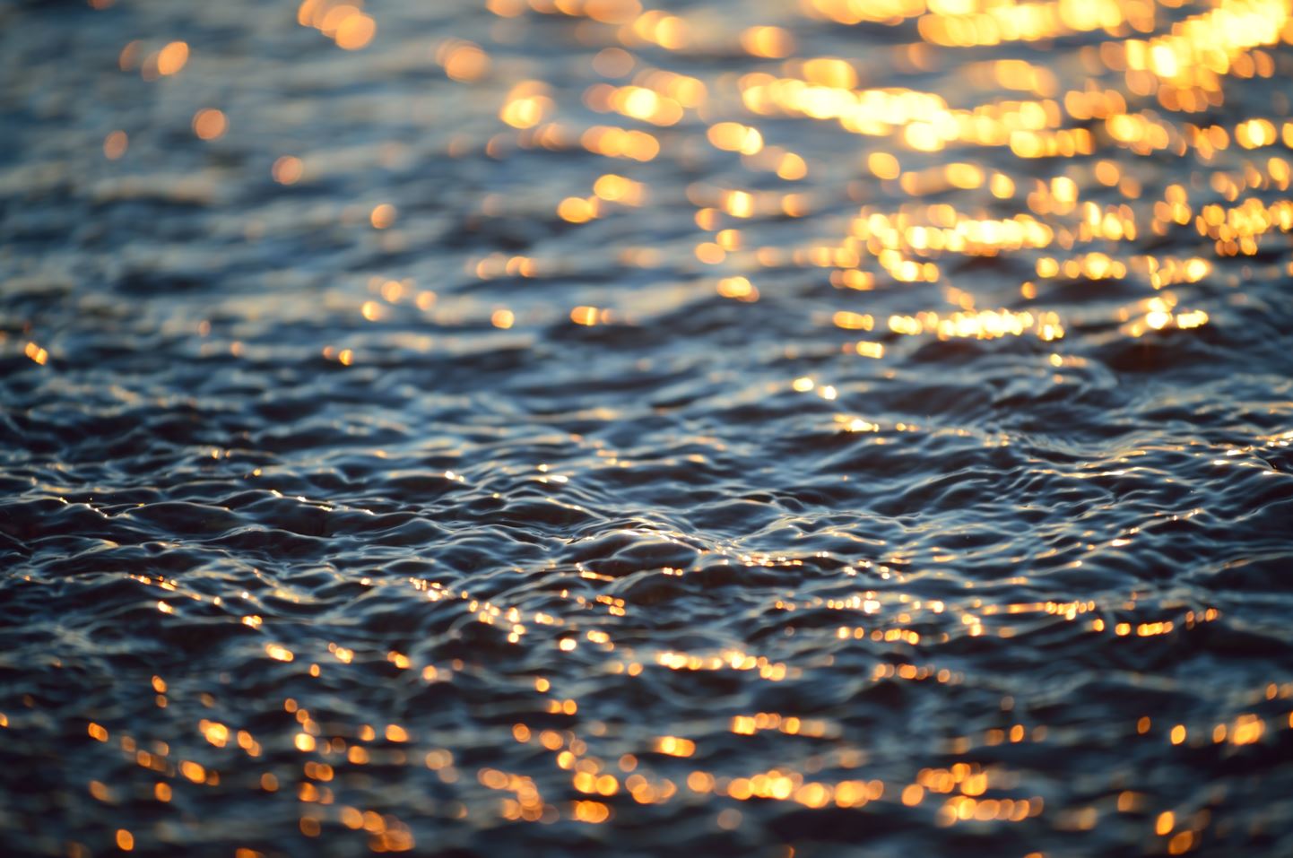 Gold in the pacific ocean
